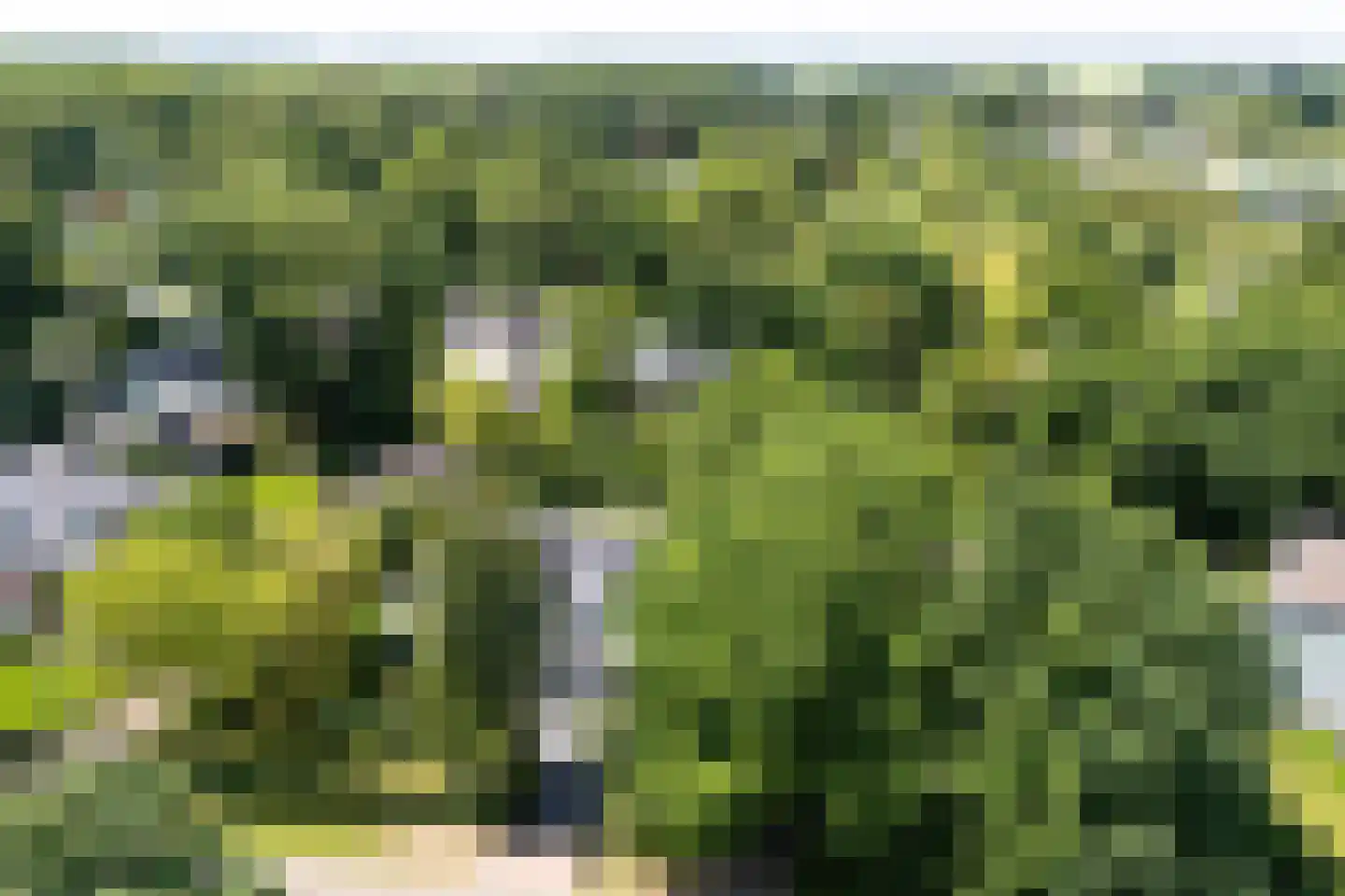 De Blinkenlaan 27 Heiloo thumbnail 64