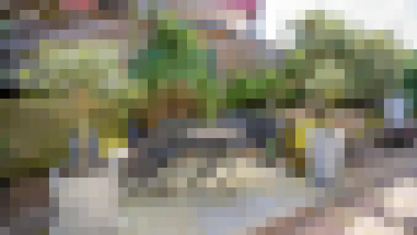 De Blinkerd 11 Vlieland thumbnail 20