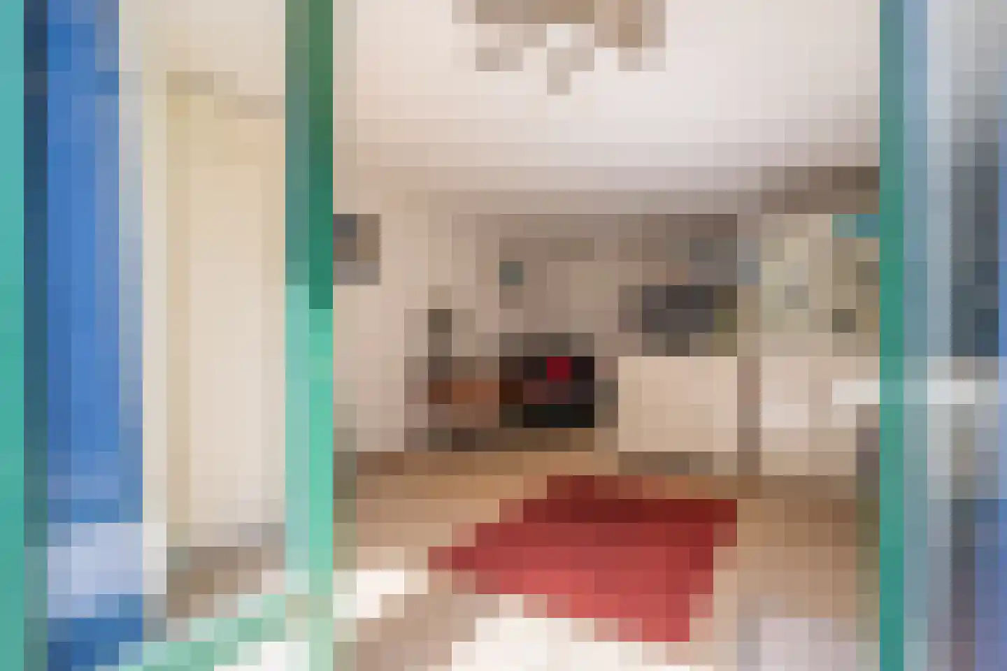 De Blinkerd 11 Vlieland thumbnail 24