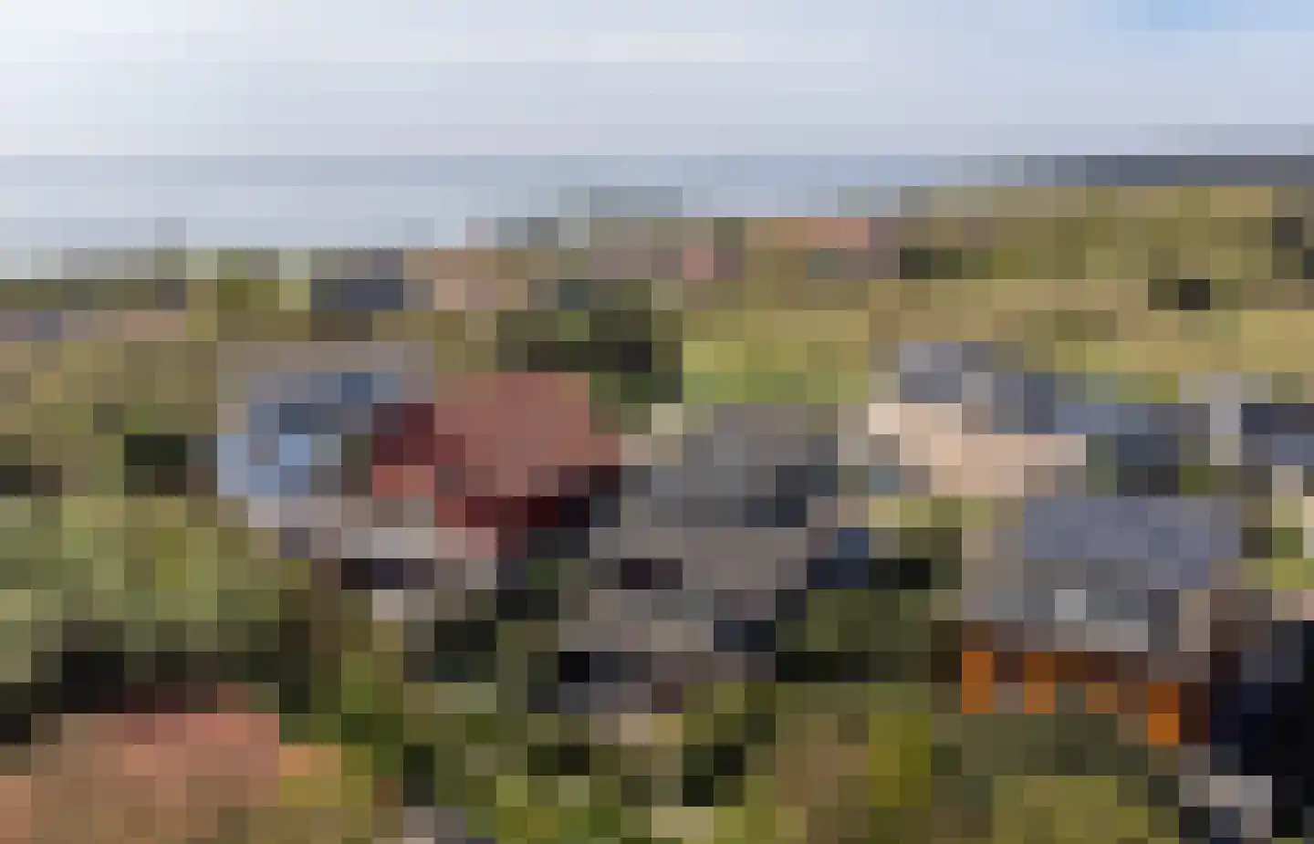 De Blinkerd 11 Vlieland thumbnail 35
