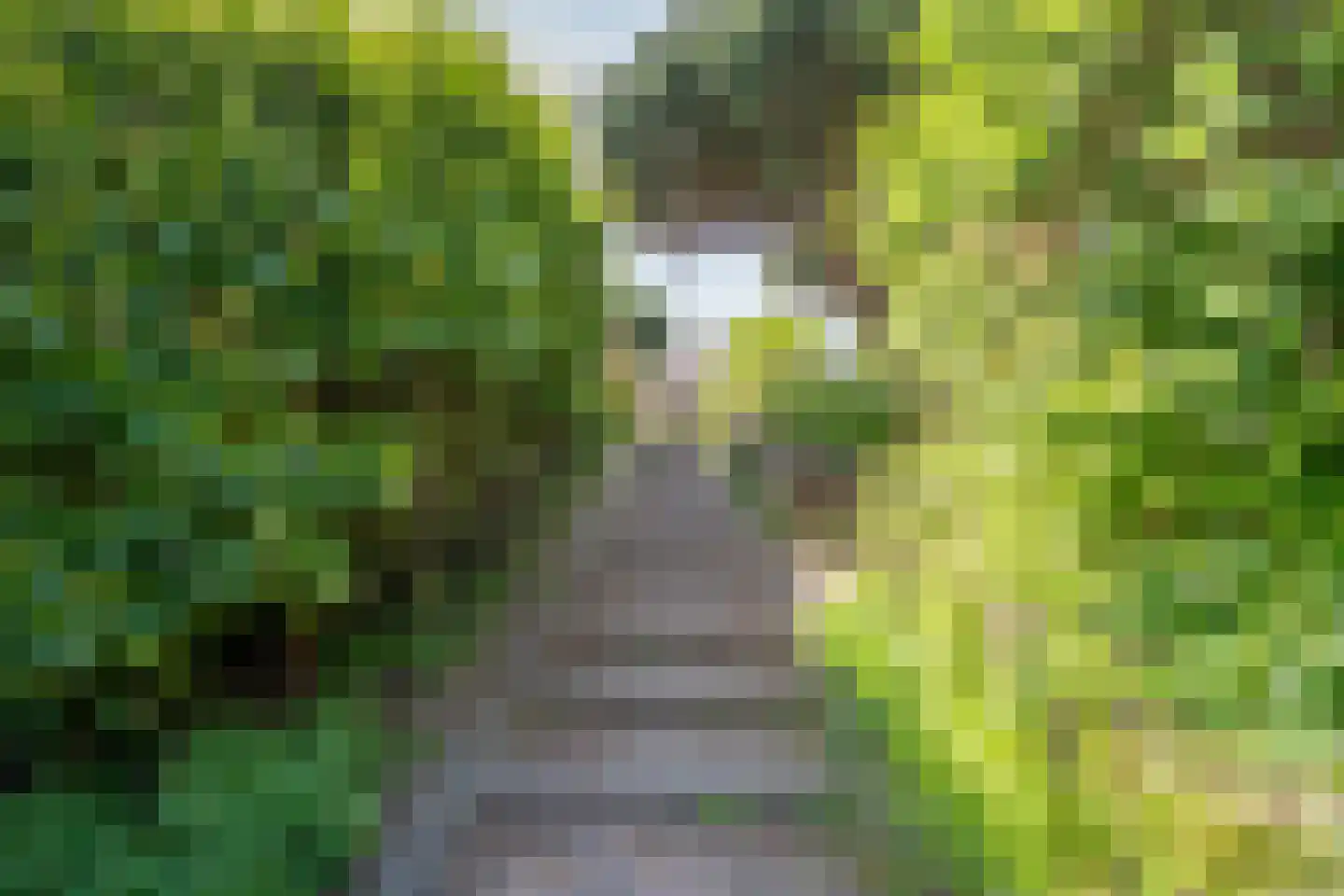 De Blinkerd 11 Vlieland thumbnail 36