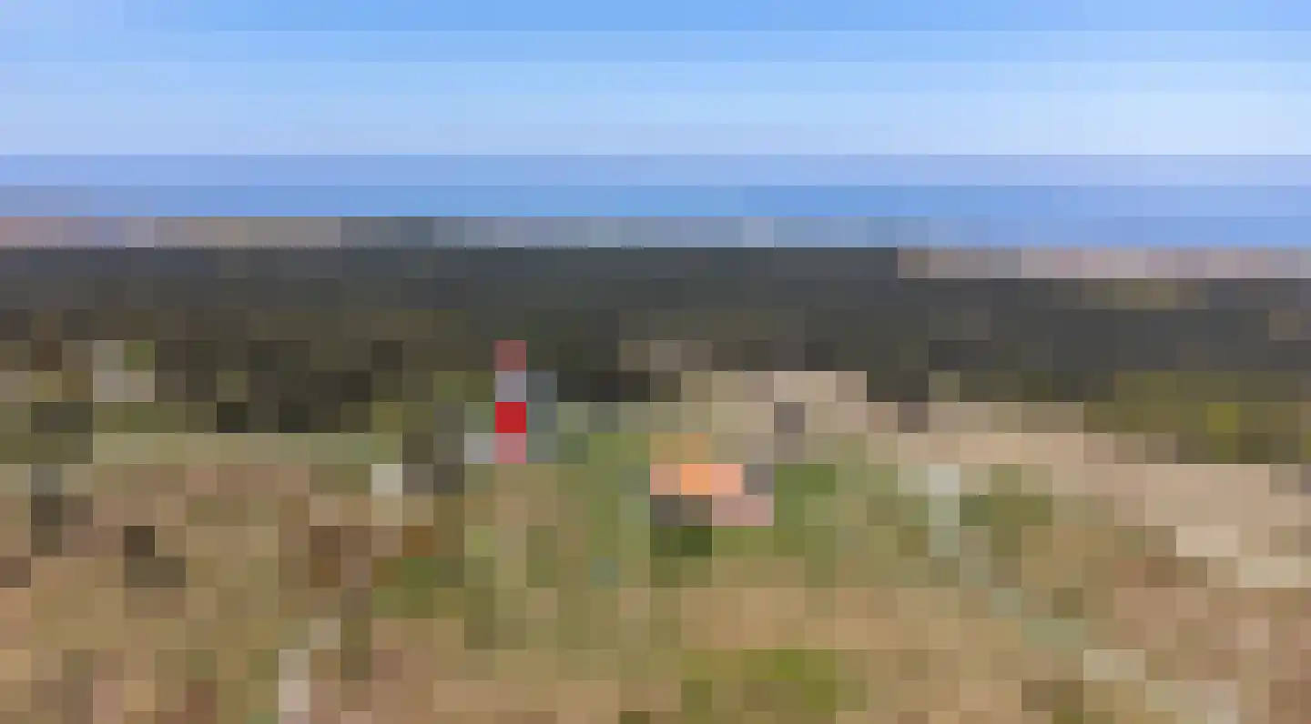 De Blinkerd 11 Vlieland thumbnail 52