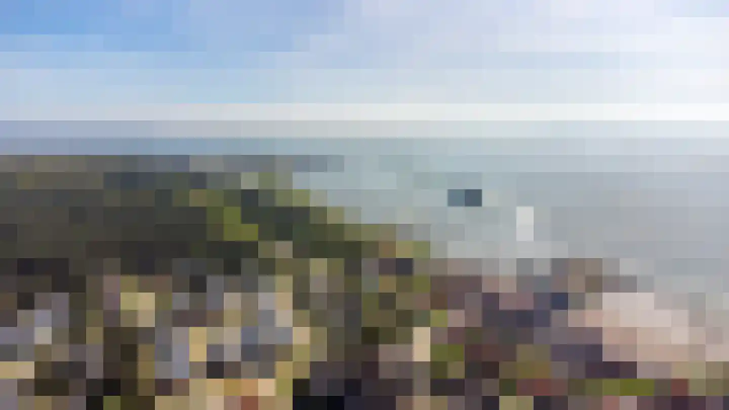De Blinkerd 11 Vlieland thumbnail 53