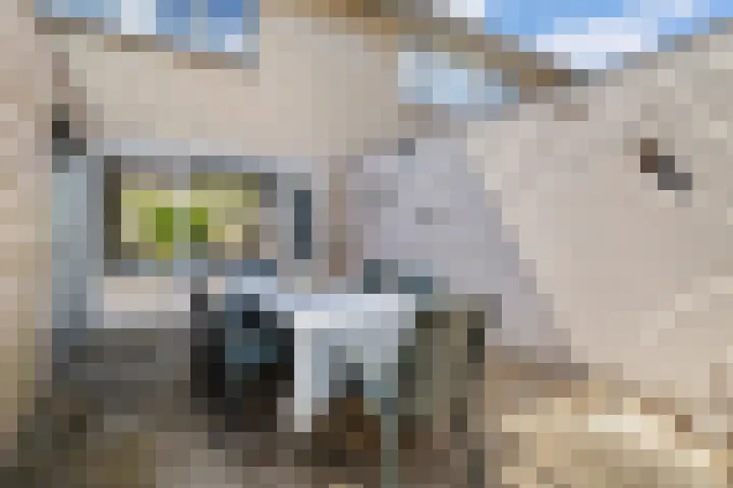 De Bloemen 19 Castricum thumbnail 32