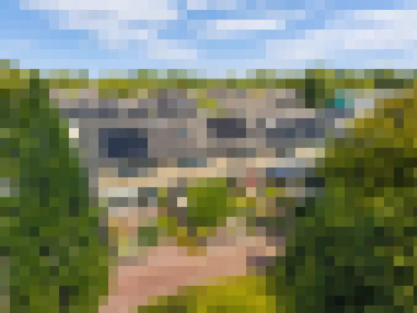 De Bloemen 19 Castricum thumbnail 37
