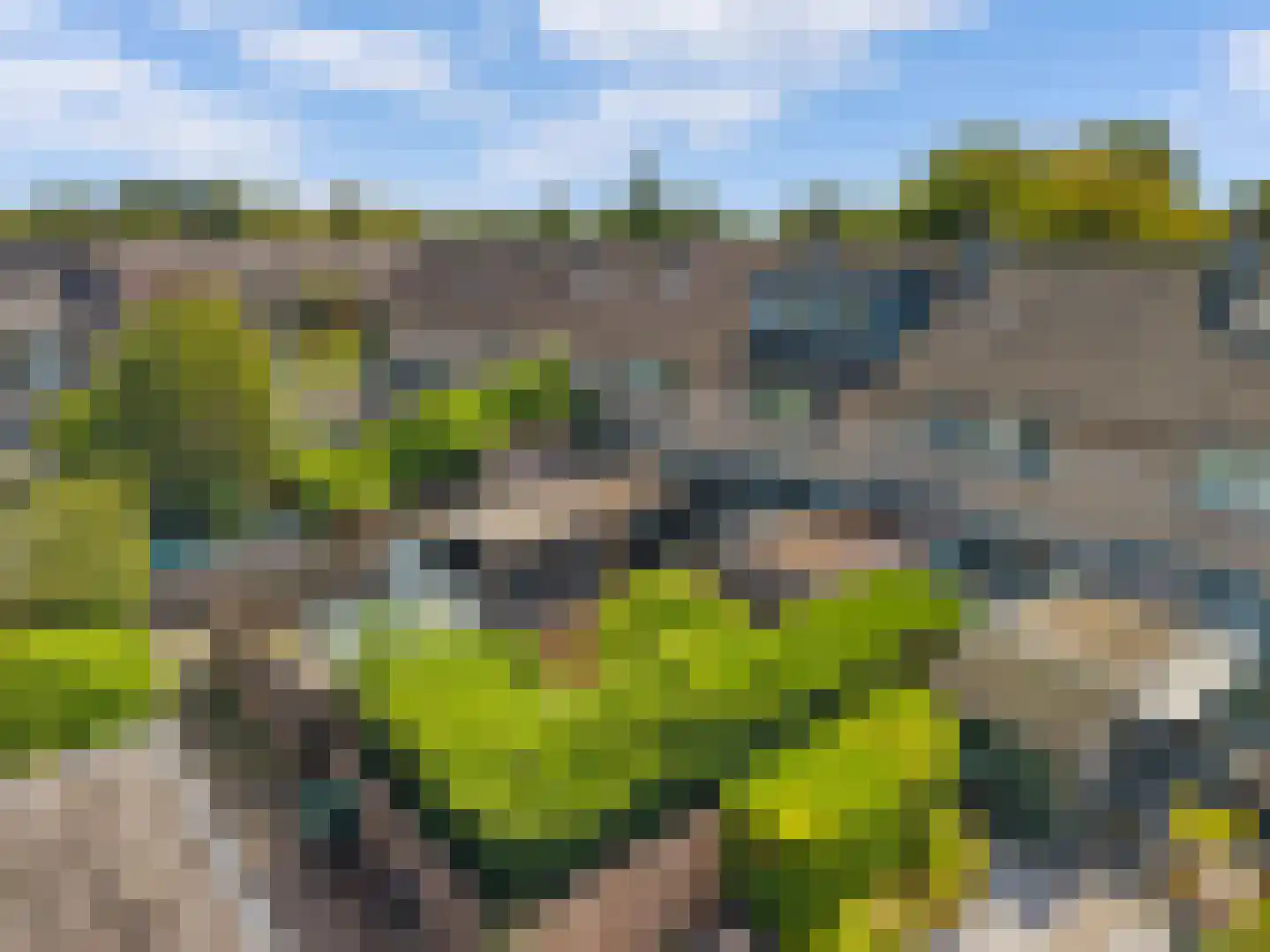 De Bloemen 19 Castricum thumbnail 38