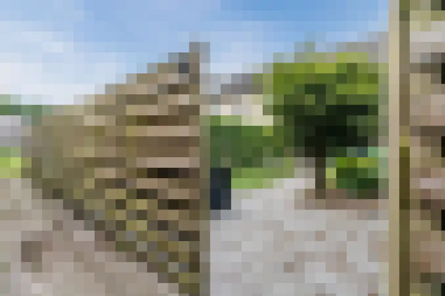 De Bloemen 25 Meppel thumbnail 33