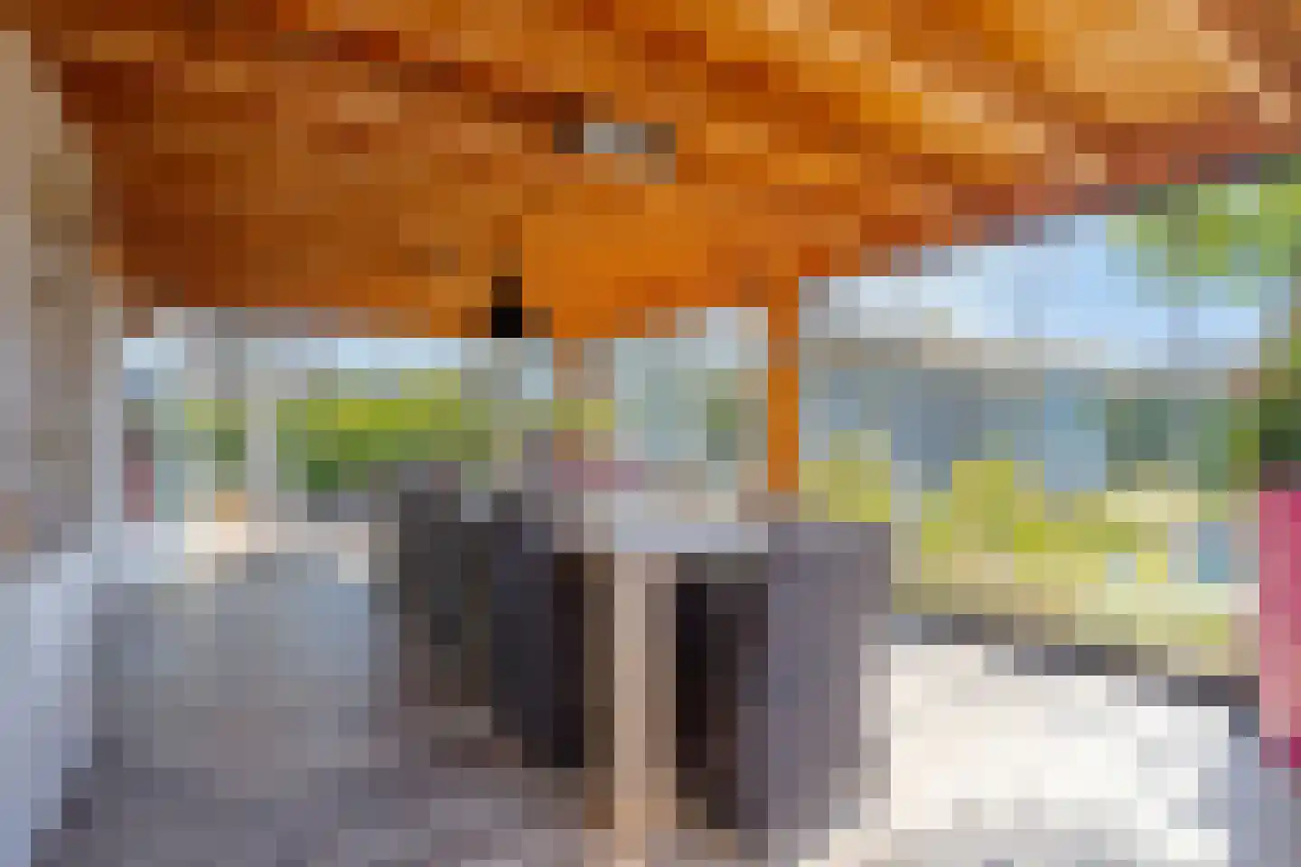 De Bloemendaal 31 's-Hertogenbosch thumbnail 16