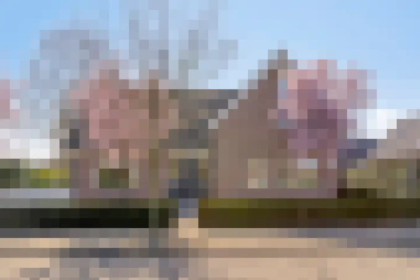 De Bloemendaal 31 's-Hertogenbosch thumbnail 6