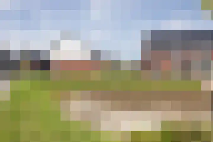 De Bloemenesch 17 Tubbergen thumbnail 24