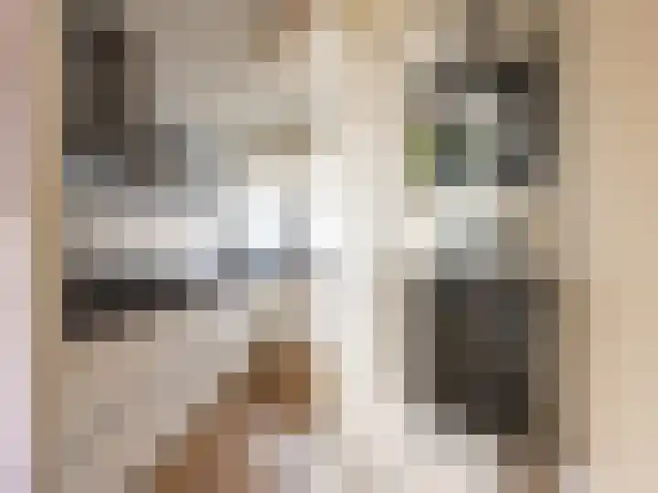 De Bloementuin 21 Zutphen thumbnail 12