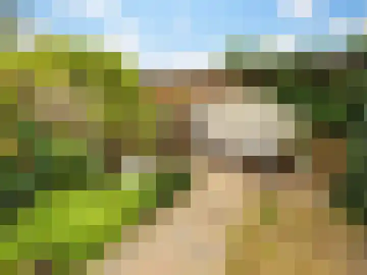 De Bloementuin 21 Zutphen thumbnail 22