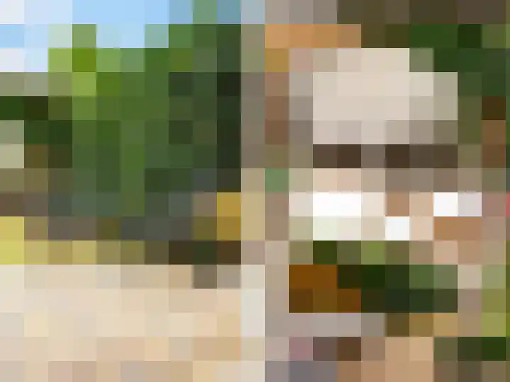 De Bloementuin 21 Zutphen thumbnail 23