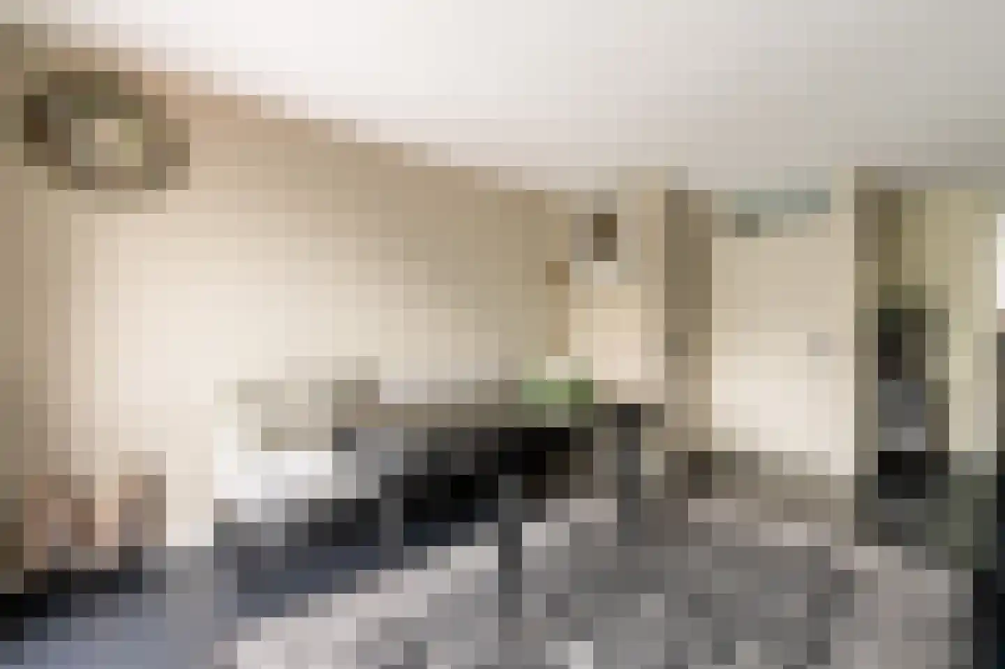 De Bloementuin 28 Apeldoorn thumbnail 10