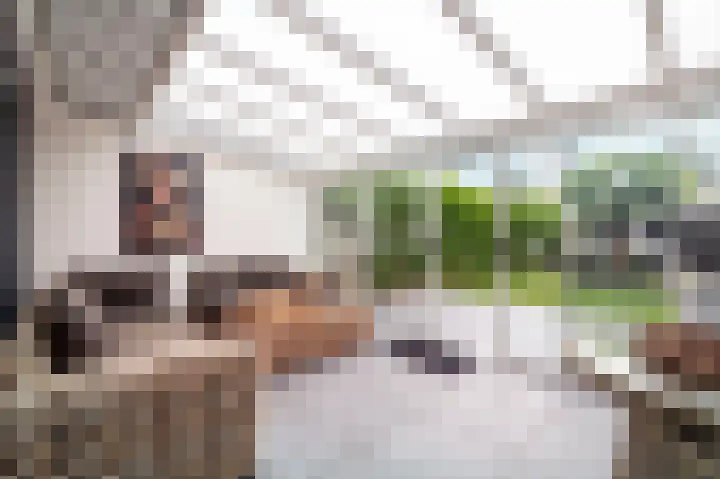 De Bloementuin 28 Apeldoorn thumbnail 12