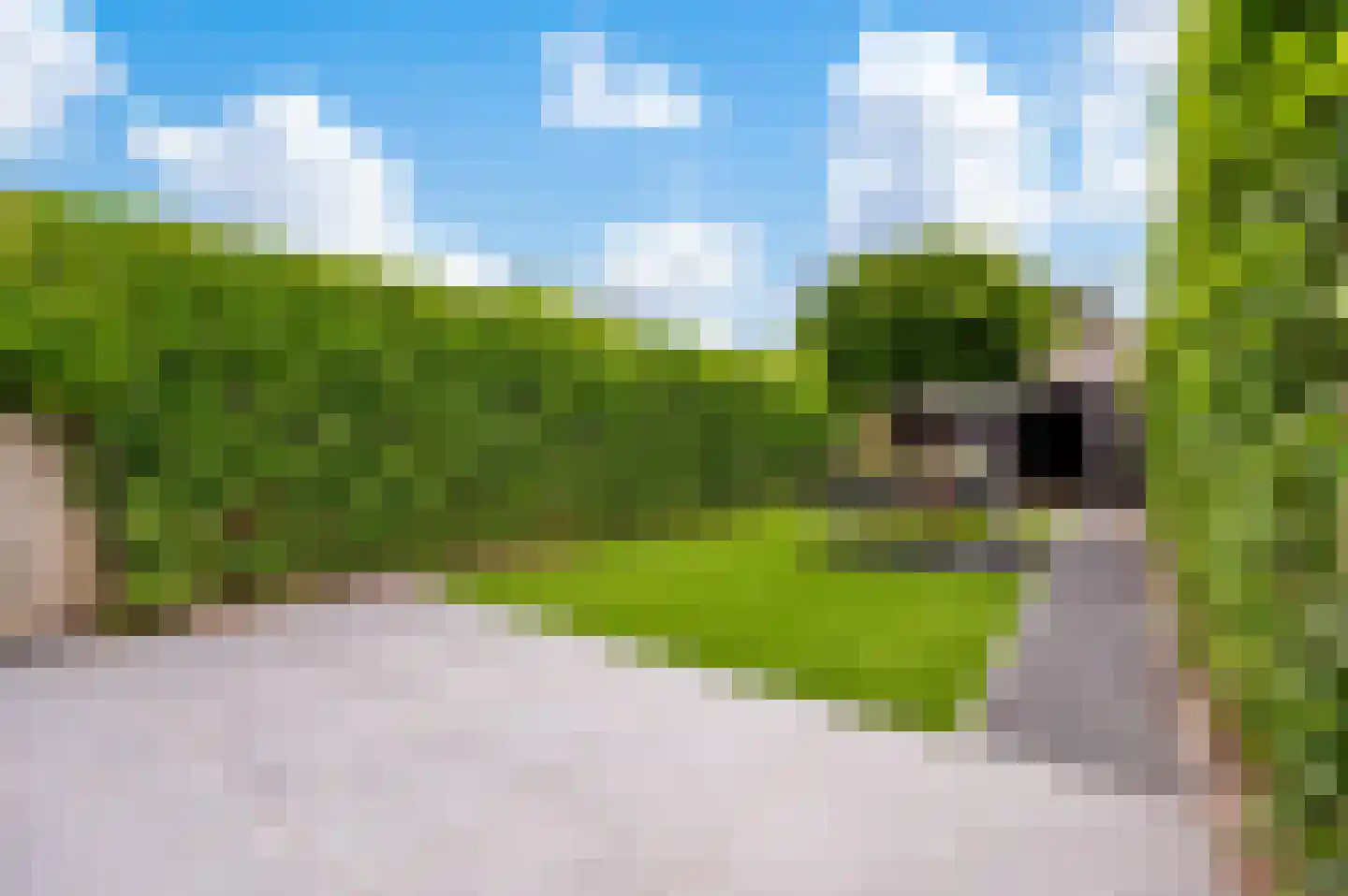 De Bloementuin 28 Apeldoorn thumbnail 15