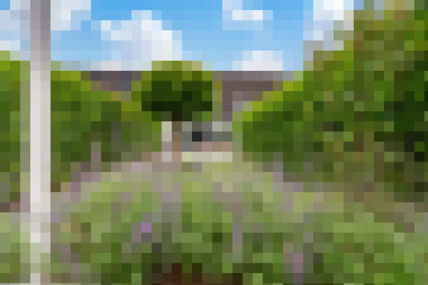 De Bloementuin 28 Apeldoorn thumbnail 18