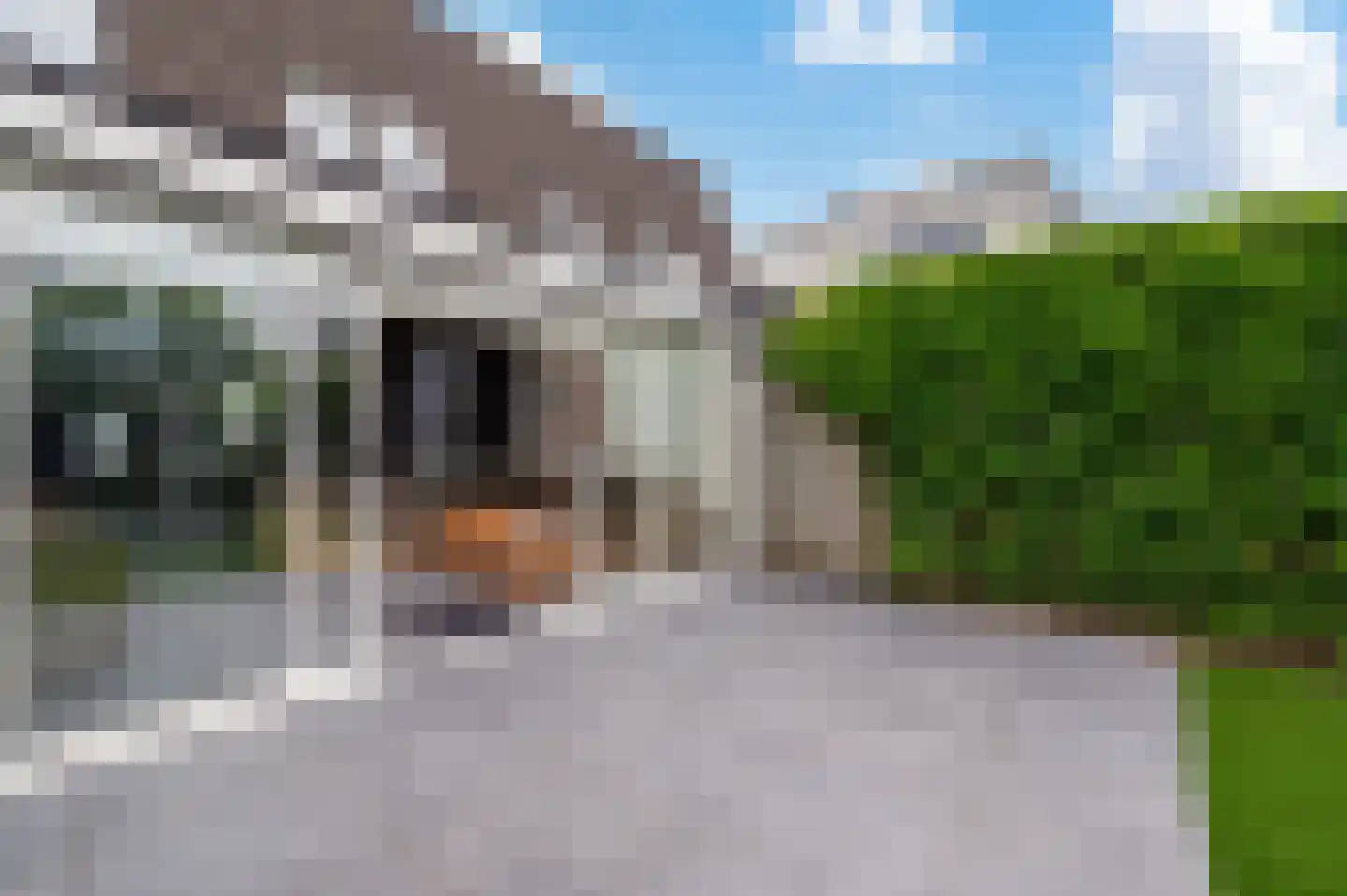 De Bloementuin 28 Apeldoorn thumbnail 21