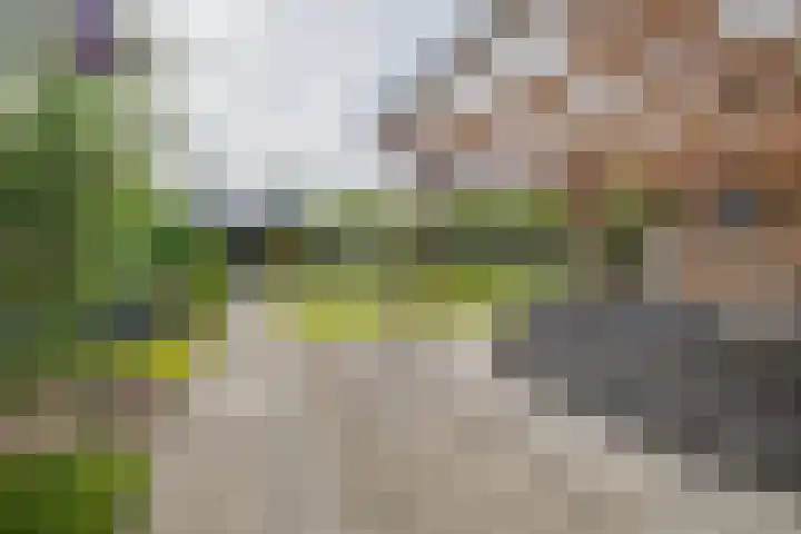 De Bloementuin 30 Apeldoorn thumbnail 29