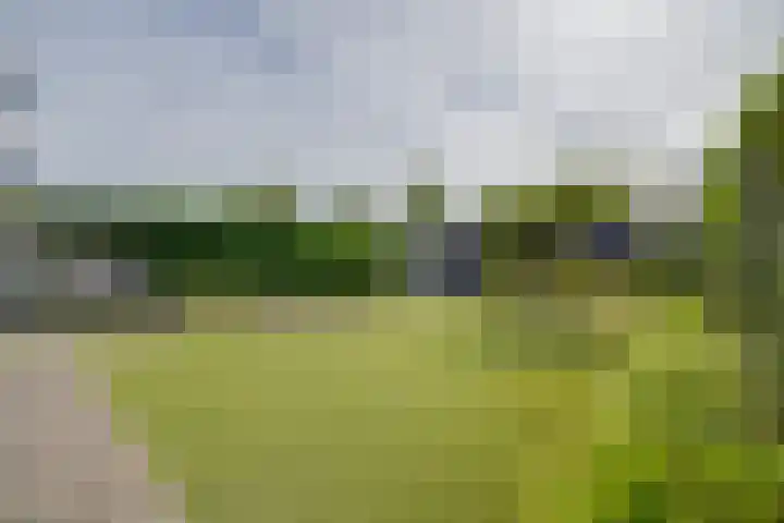 De Bloementuin 30 Apeldoorn thumbnail 30