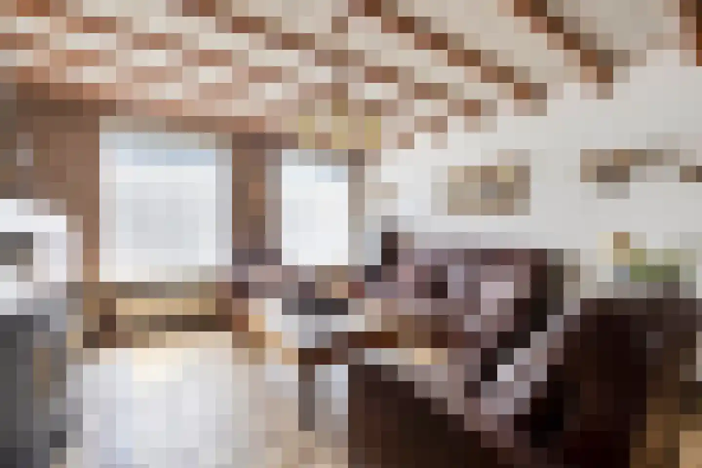 De Bloemerd 31 Gemert thumbnail 12