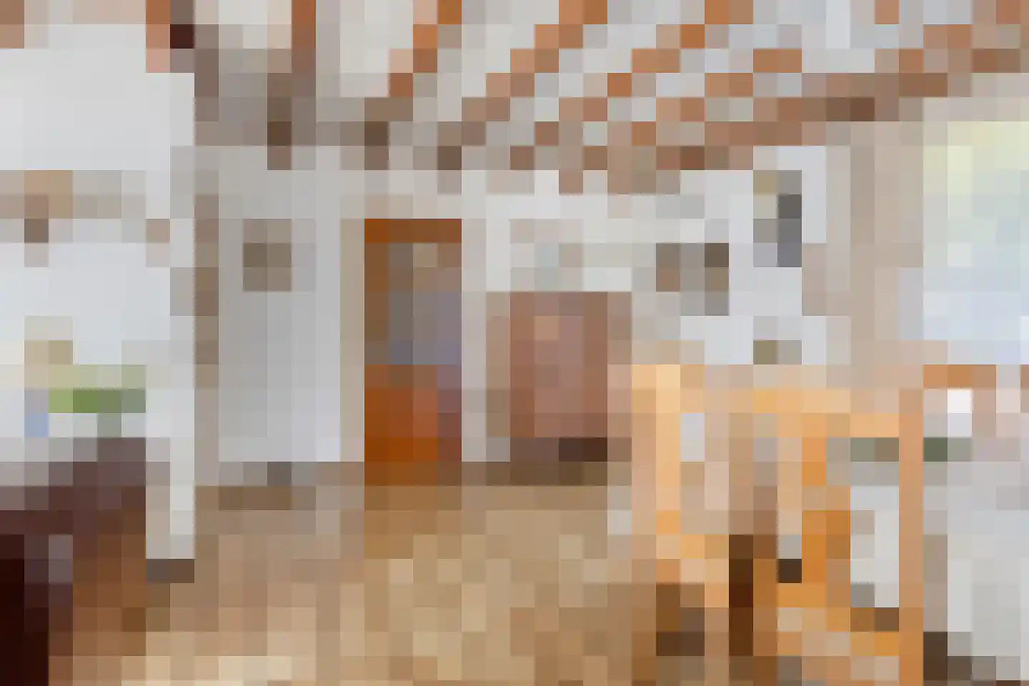 De Bloemerd 31 Gemert thumbnail 18