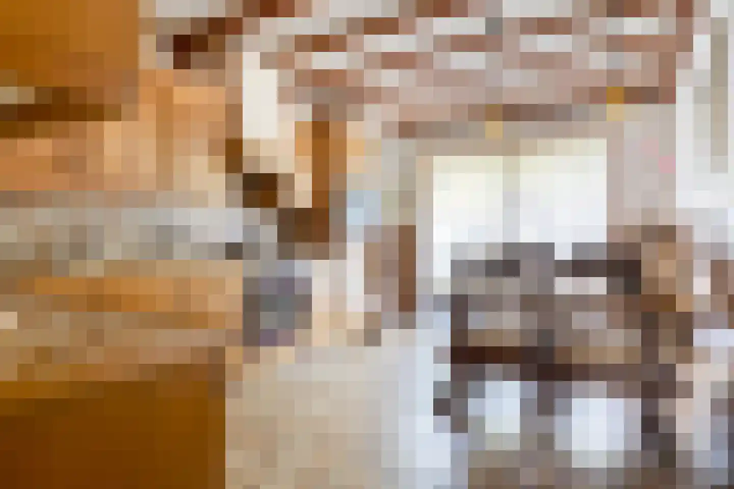 De Bloemerd 31 Gemert thumbnail 19