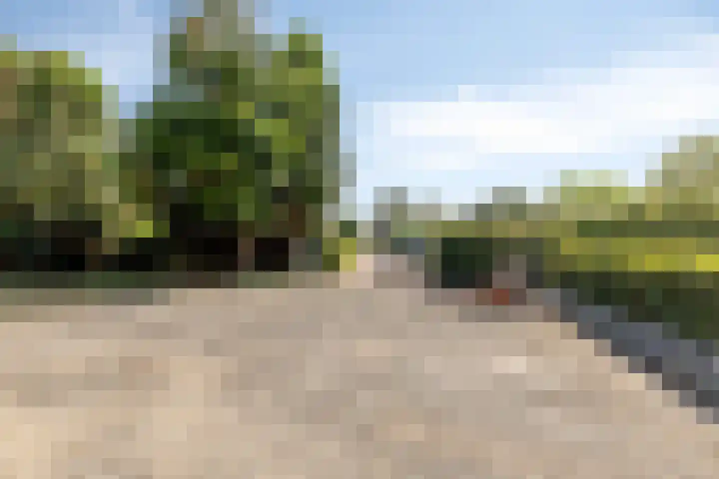 De Bloemerd 31 Gemert thumbnail 22