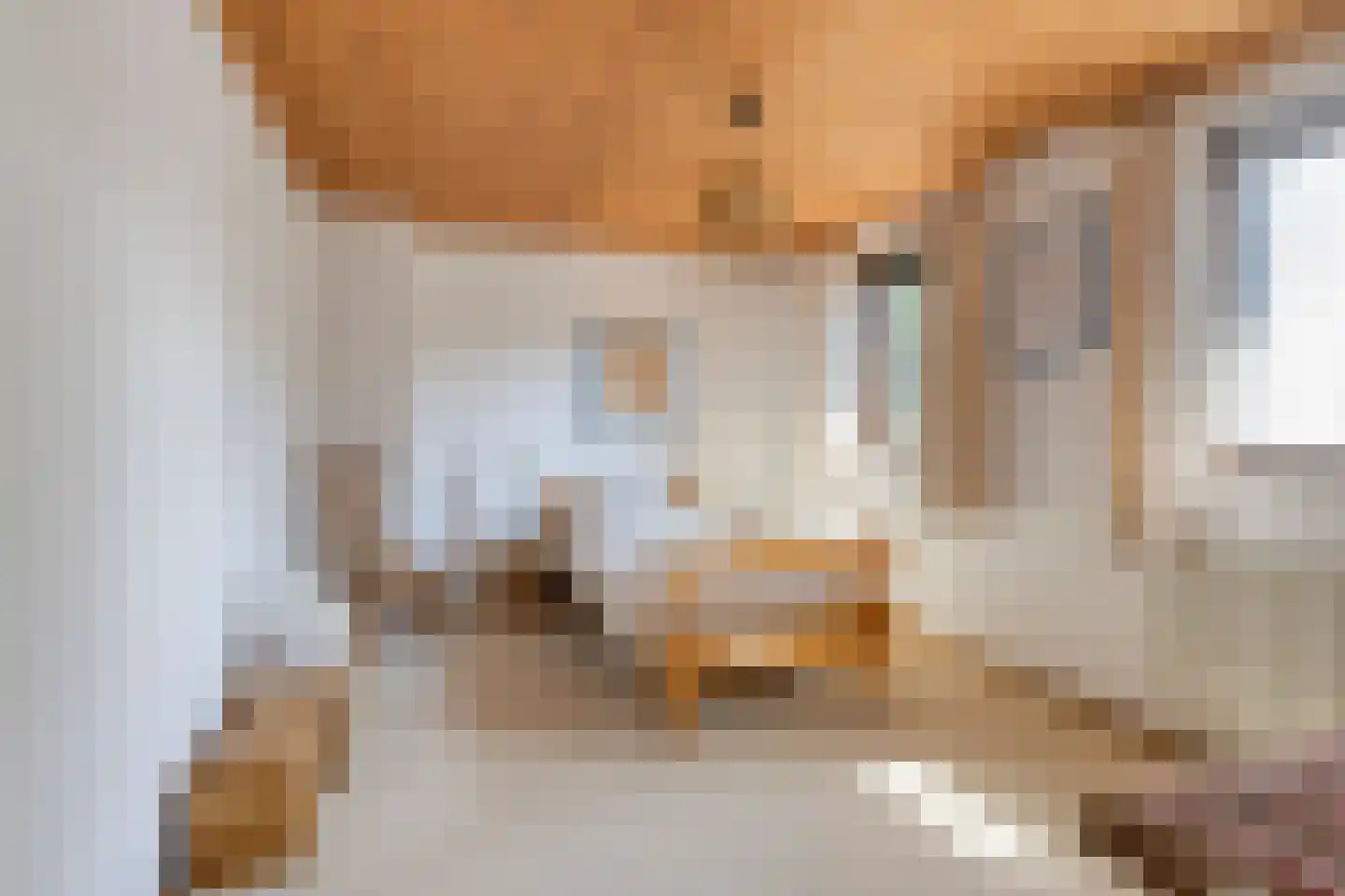 De Bloemerd 31 Gemert thumbnail 25