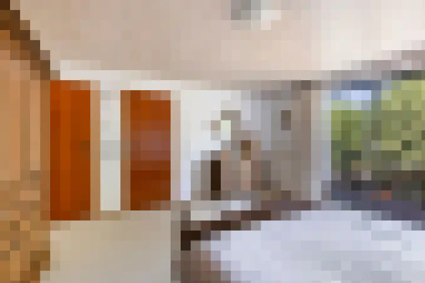 De Bloemerd 31 Gemert thumbnail 28