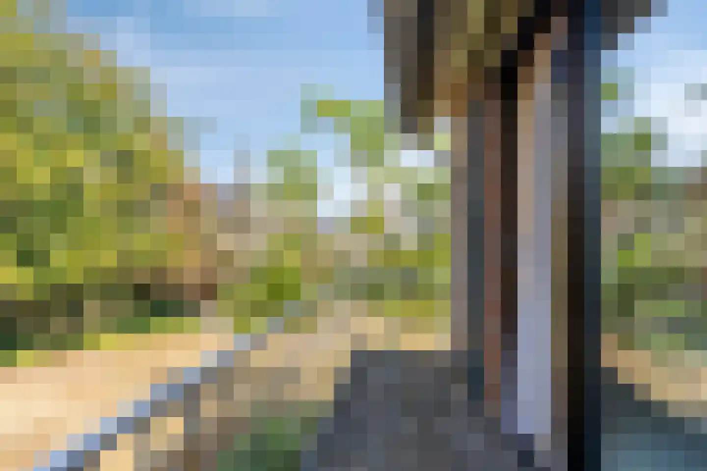 De Bloemerd 31 Gemert thumbnail 29