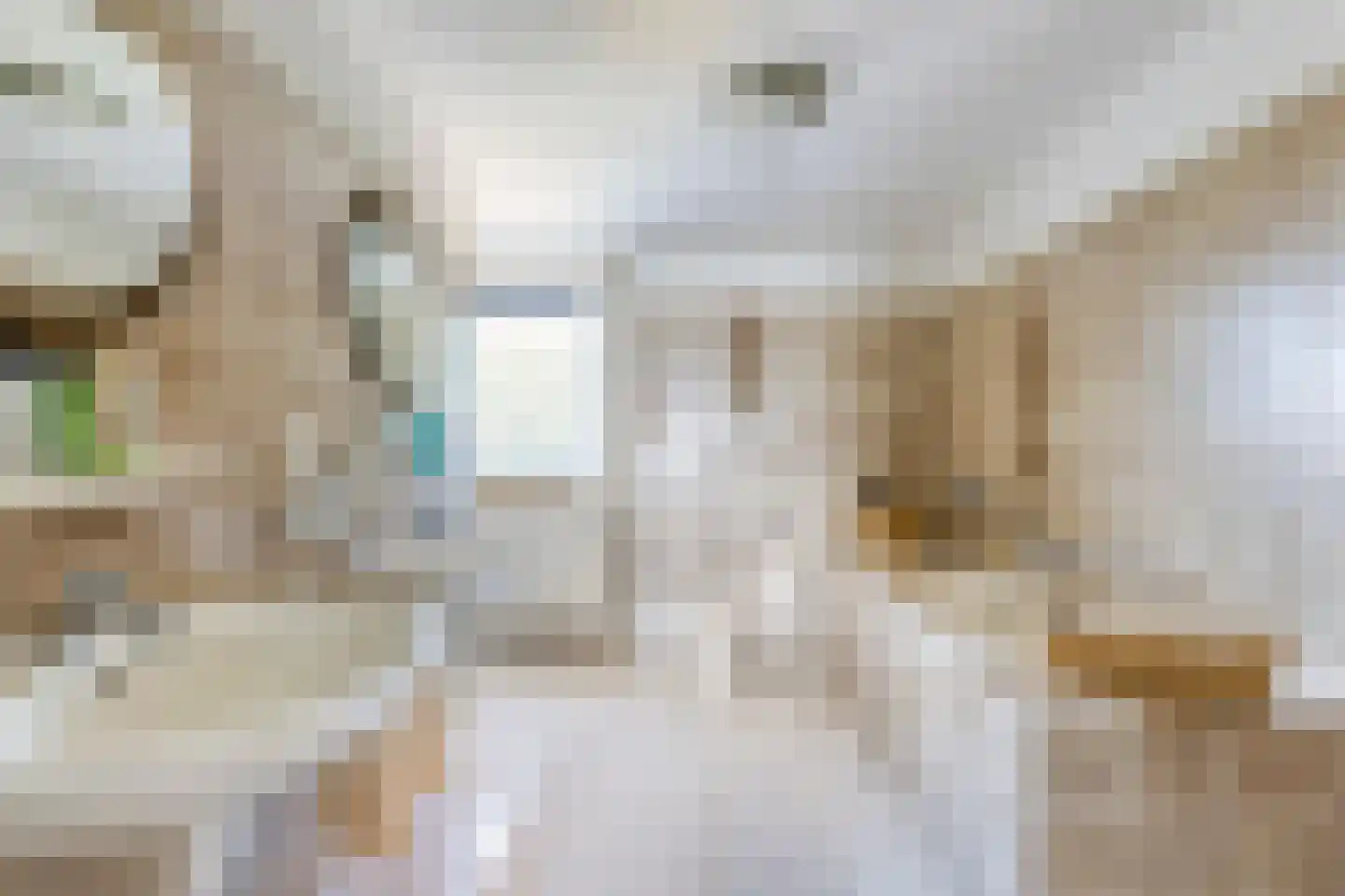 De Bloemerd 31 Gemert thumbnail 33