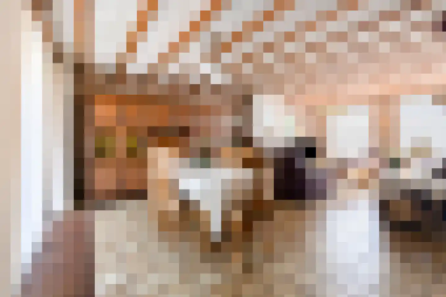 De Bloemerd 31 Gemert thumbnail 4