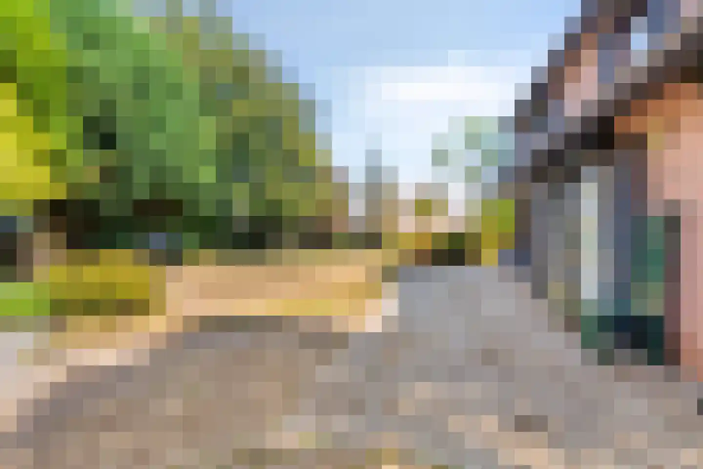 De Bloemerd 31 Gemert thumbnail 43
