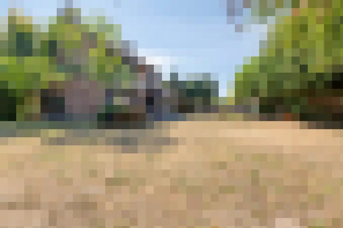 De Bloemerd 31 Gemert thumbnail 44
