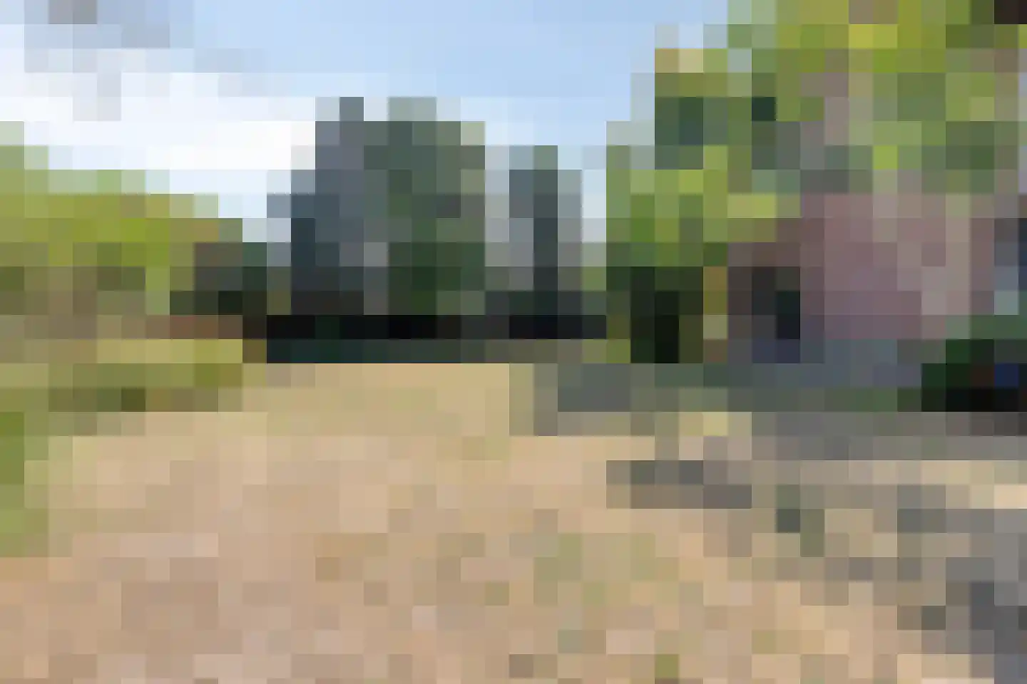 De Bloemerd 31 Gemert thumbnail 45