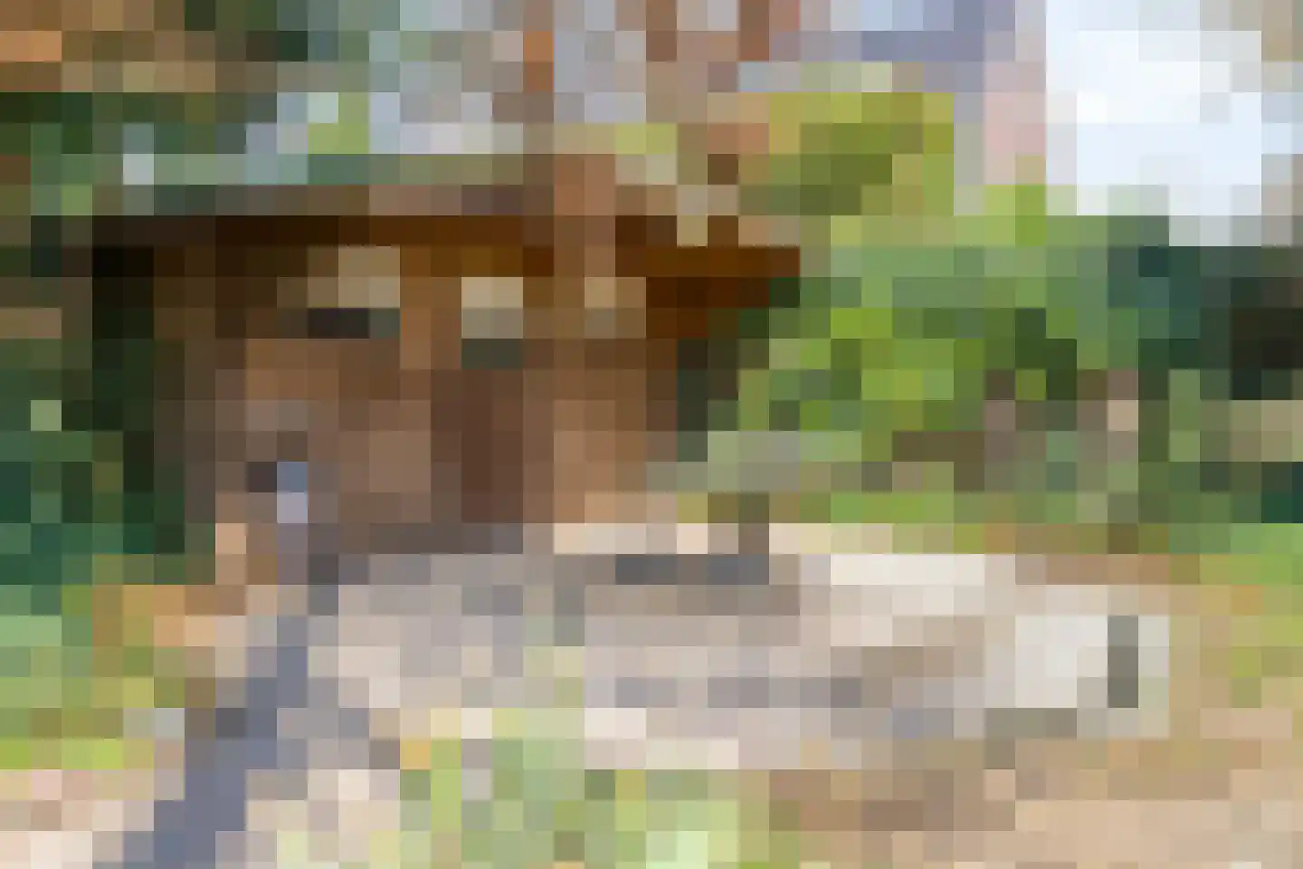 De Bloemerd 31 Gemert thumbnail 46