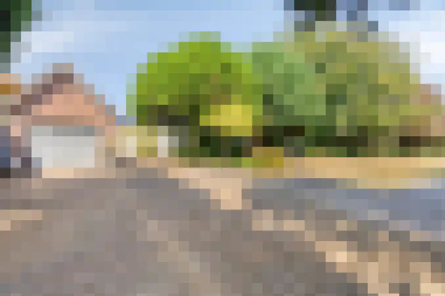De Bloemerd 31 Gemert thumbnail 48
