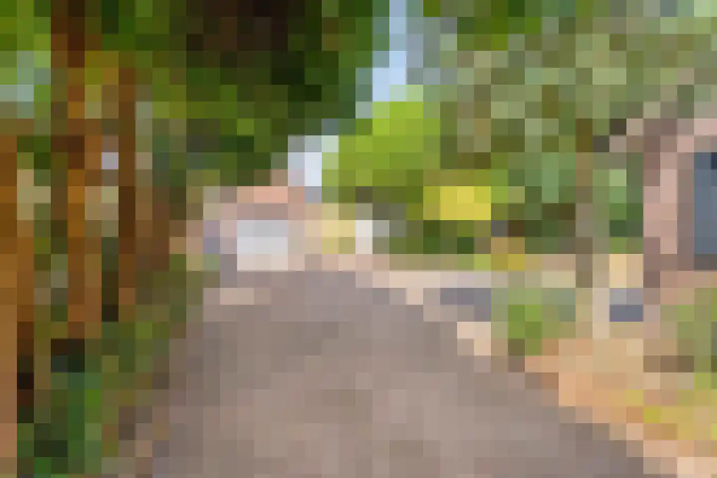 De Bloemerd 31 Gemert thumbnail 49