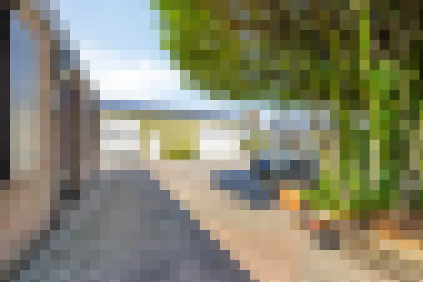 De Bloemerd 31 Gemert thumbnail 50