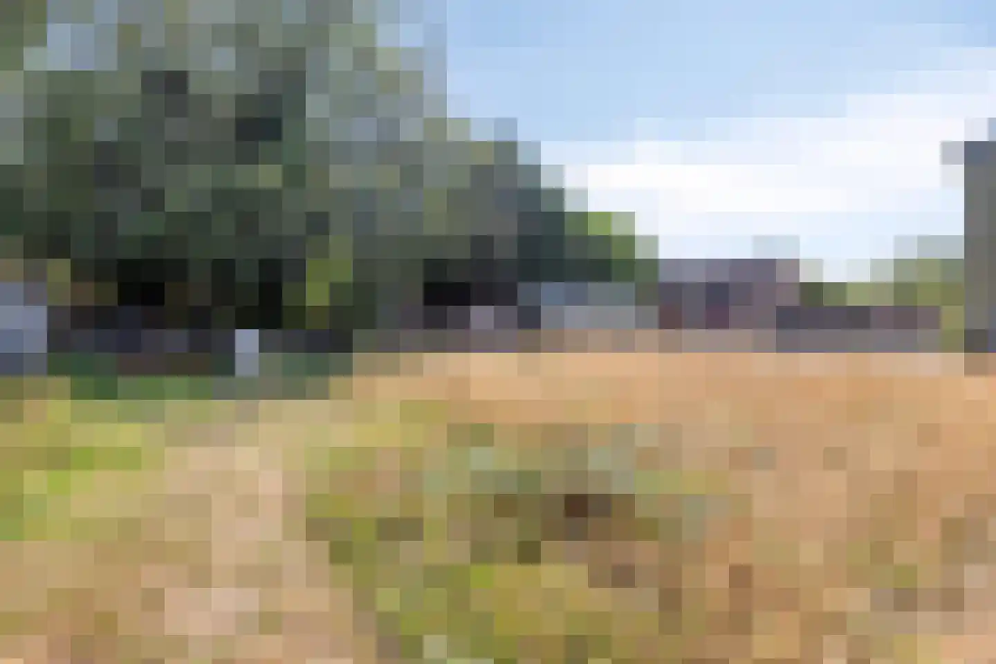 De Bloemerd 31 Gemert thumbnail 53