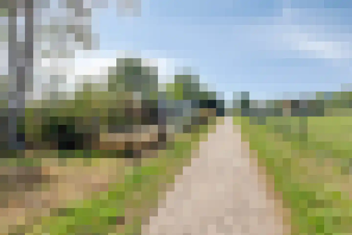 De Bloemerd 31 Gemert thumbnail 54