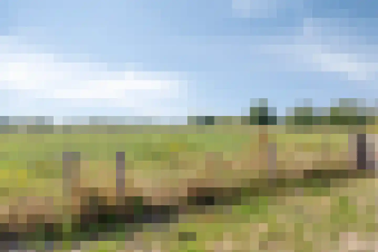 De Bloemerd 31 Gemert thumbnail 57