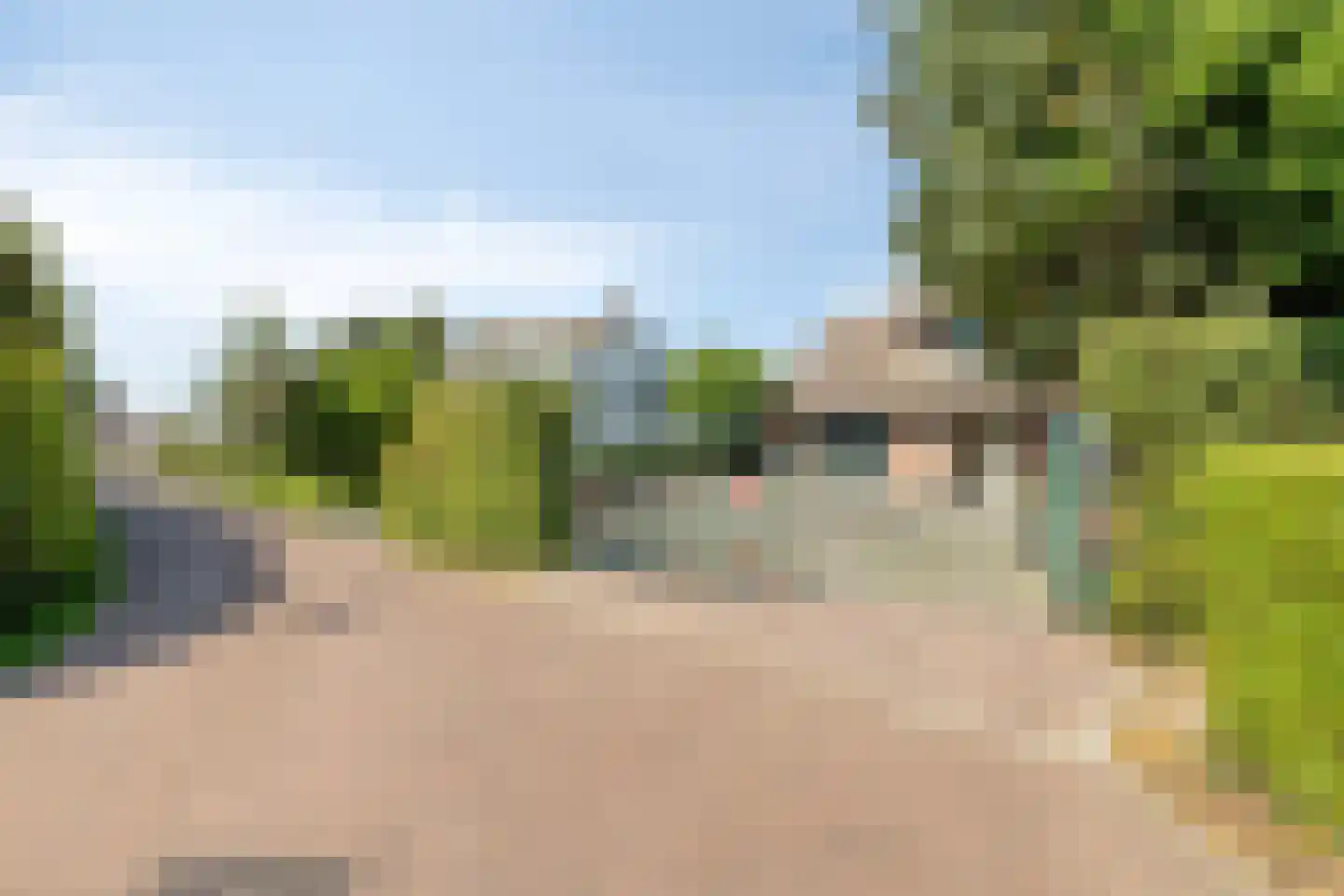 De Bloemerd 31 Gemert thumbnail 6