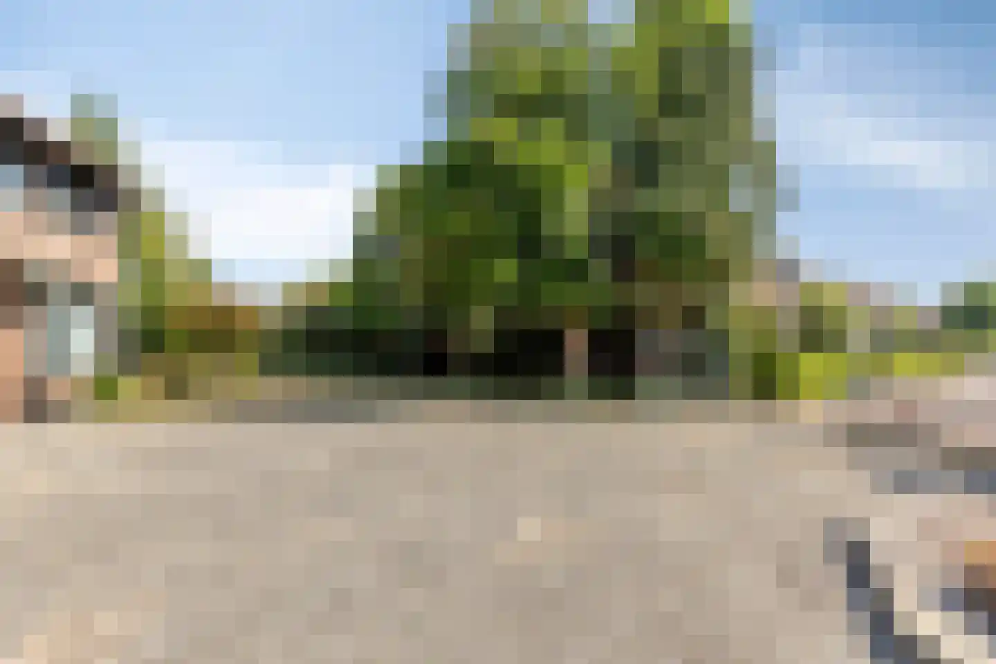 De Bloemerd 31 Gemert thumbnail 7