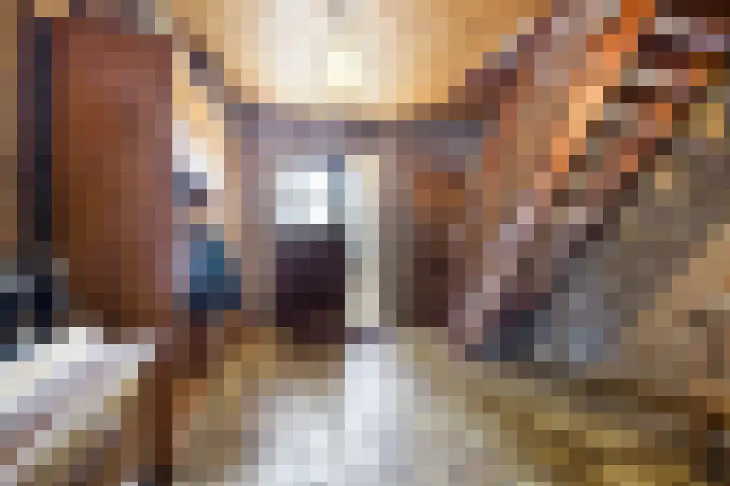 De Bloemerd 31 Gemert thumbnail 9