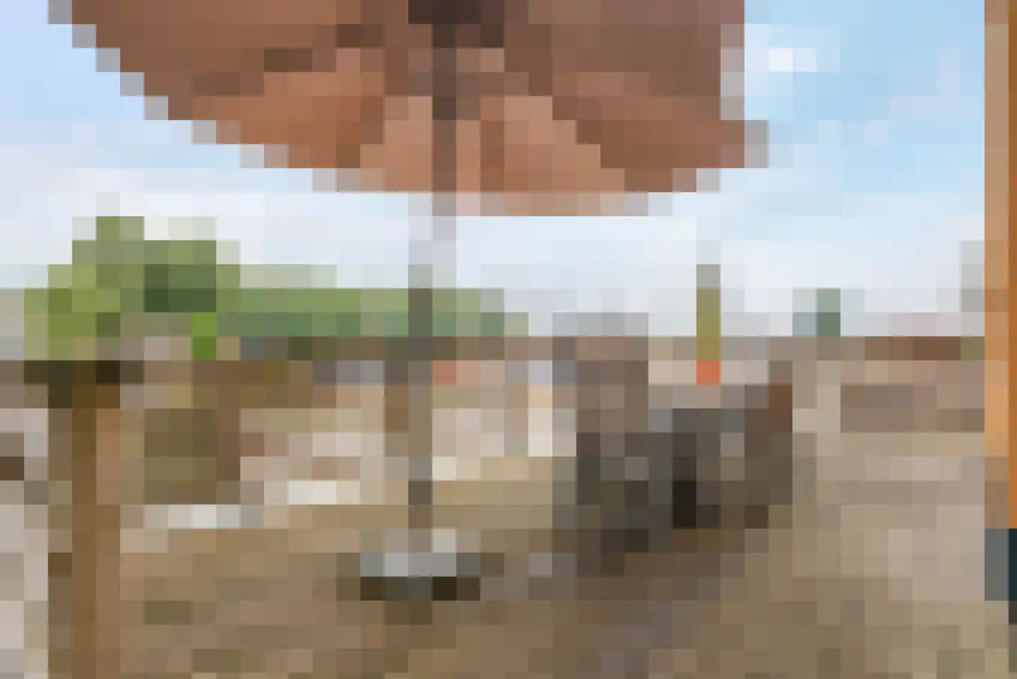 De Bloemert 1 105 Midlaren thumbnail 14