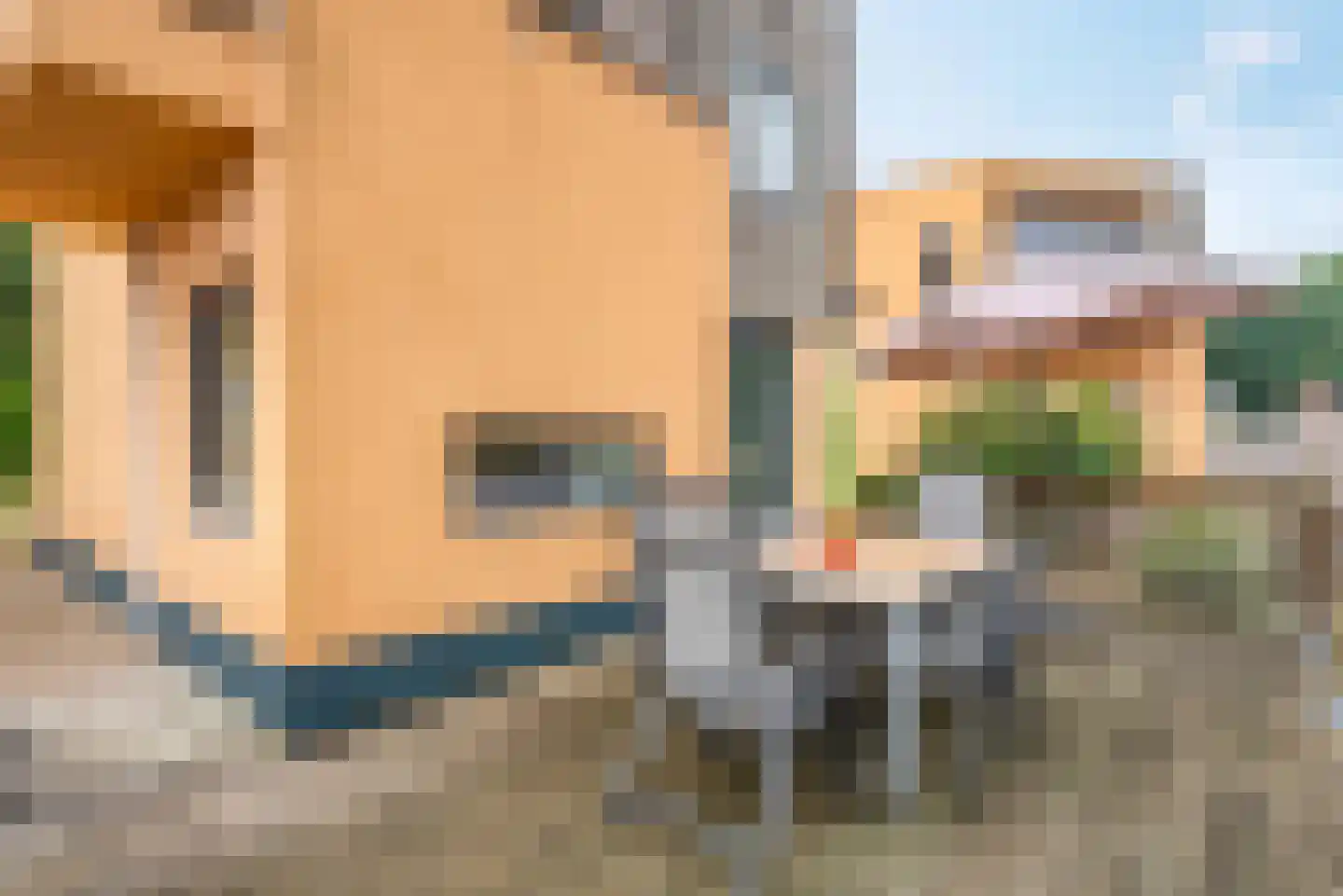 De Bloemert 1 105 Midlaren thumbnail 16