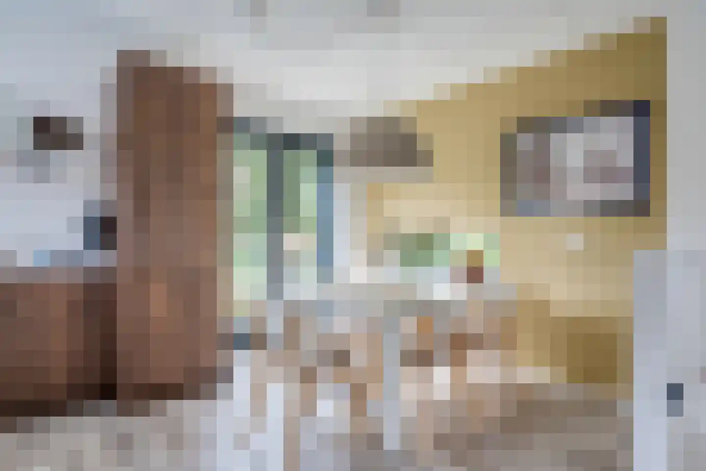 De Bloemert 1 105 Midlaren thumbnail 31