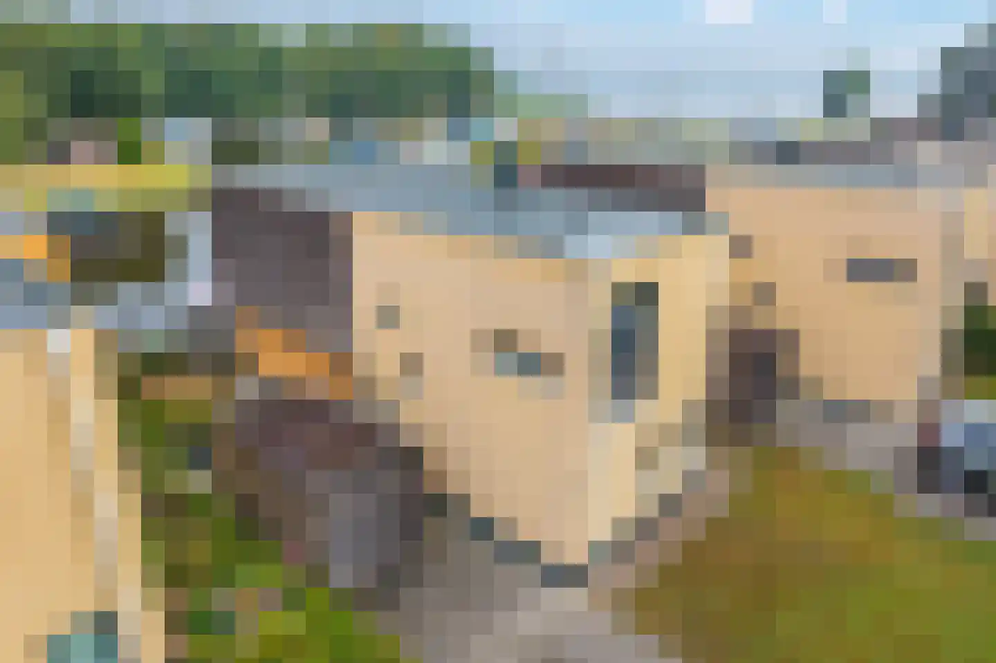 De Bloemert 1 105 Midlaren thumbnail 4